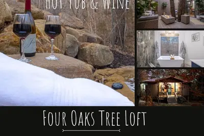 Image de Treehouse Atrium Hot Tub Buffalo