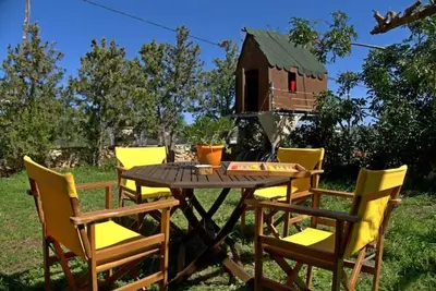 Image de Diamant's place with treehouse garden