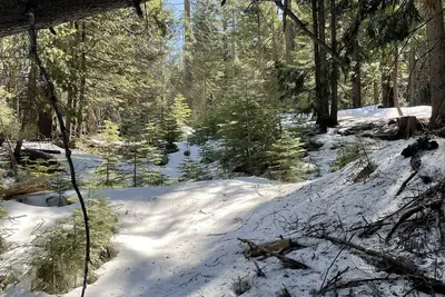 Image de Cozy Cabin for Summer & Winter Fun