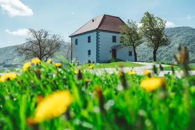 Image de The Wine grower’s mansion from 15th century, standing in the heart of vineyards.
