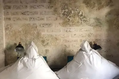 Image de Ferienwohnung auf der Haardt