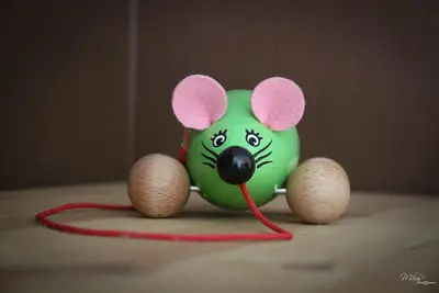 Image de Gite familiale de la Souris Verte et son parc arboré. Calme assuré!