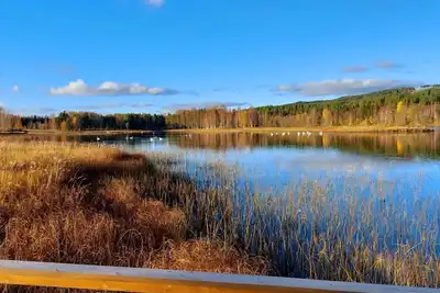 Image de Newly built guest house in beautiful Ljungandalen\/Central Sweden.