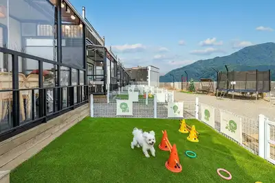 Image de Gapyeong Dangdangi Dog Pension Purple