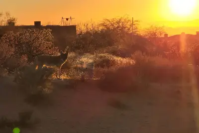Image de Sonoran Desert Retreat - Quiet, Gated, Custom home with Incredible Sunsets!