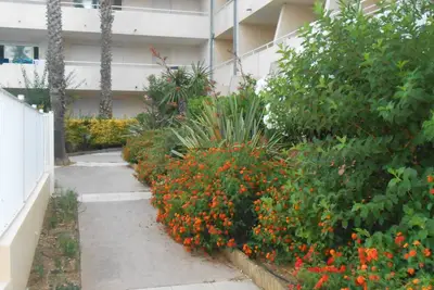 Image de Apartment T2 Cabin In Residence With Swimming Pool 300 M From The Sea