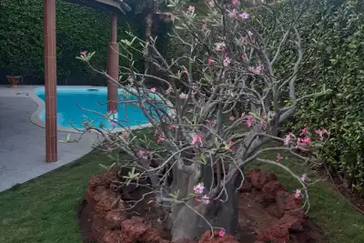 Image de Villa Lea safari village