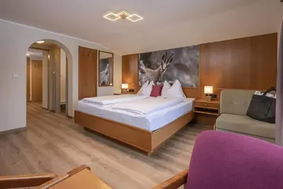 Image de Junior Suite attic 2 bedrooms, shower, Wc, - Hotel Acherl
