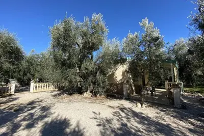Image de Olive House - Trilo 4