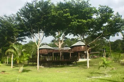 Image de Exotic High End Unique Off-The-Grid Treehouse, steps away from the Mopan River!