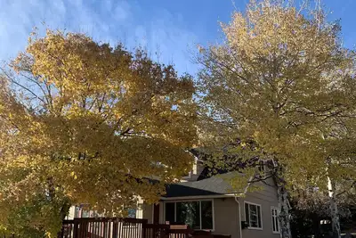 Image de Cozy, peaceful getaway - less than 5 min from downtown Klamath