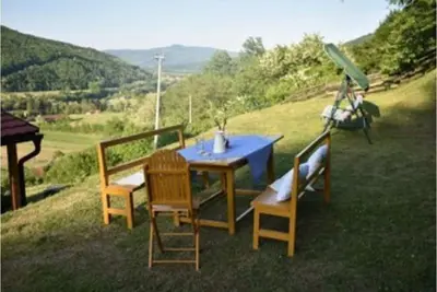 Sima's house on the slopes of Tara - view of the Drina valley