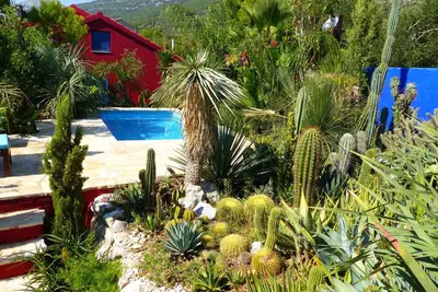 Image de Villa Tropica - villa with pool and private garden