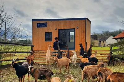 Image de Tiny House Nature au coeur d'une chèvrerie proche Montargis - 1h de Paris!