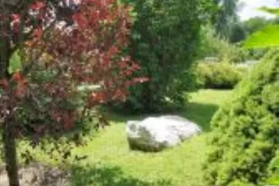 Image de Top 1 vacation apartment in the Wiesengrund guest house