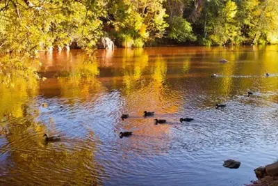 Image de Dwntwn 1br sleeps 4 Pool Spa Relax