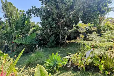 Image de Villa Entre Terre et Mer avec piscine à débordement et cuisin