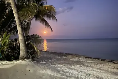 Image de World class ocean views on a sugar sand beach!