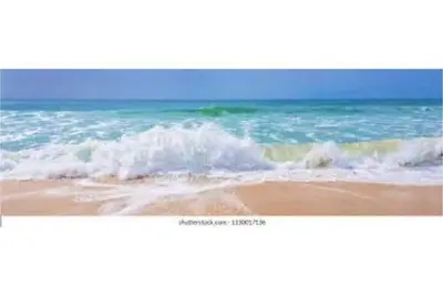 Image de Thanksgiving on the beach!
