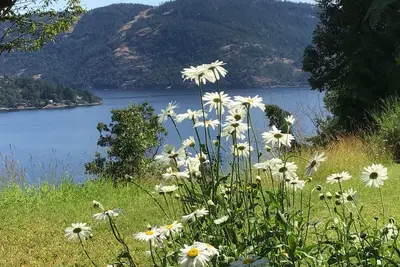 Image de Gorgeous and private hillside view overlooking Maple Bay