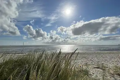 Image de Seahorse Iii with balcony 3l - House Seahorse