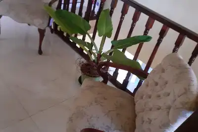 Image de 4 Bedroom House