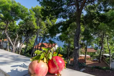 Image de Appartements Bogovic (91341-A1) - Zavala - île de Hvar