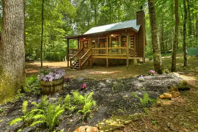 Image de Sweet Serenity: Enchanting creek-front retreat, pet-friendly, with firepit, WiFi, excellent fishing, and scenic hiking trails for unforgettable tranquility