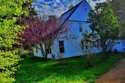 Image de Country Haven-No Clean/Dog Fees-Wineries-FirePit/Fireplace-Jacuzzi Tub-Gather!