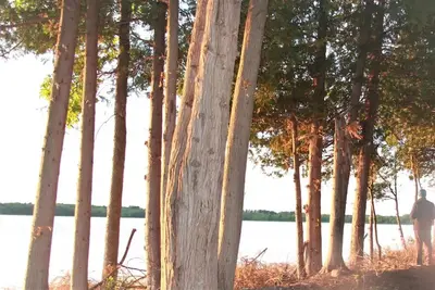 Image de Lakeview campsite G