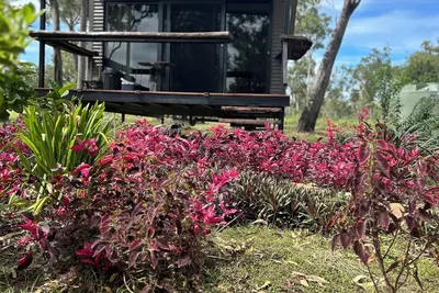 Image de Spacious modern Bungalow Desert Rose: 10 minutes to Litchfield National Park