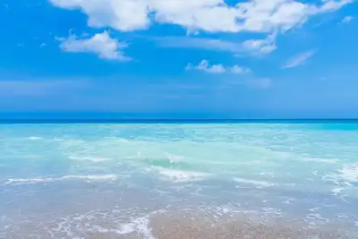 Image de Beach Paradise! New 3/2 home, dog friendly, overlooking wildlife refuge!