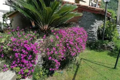 Image de Casa Andreina, Citra010002-Lt0039