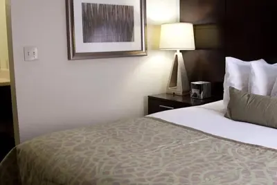 Image de Family-friendly! Spacious Suite with Full Kitchen, Pets Allowed, Pool!