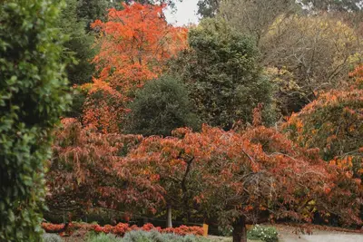 Image de Weardale Estate