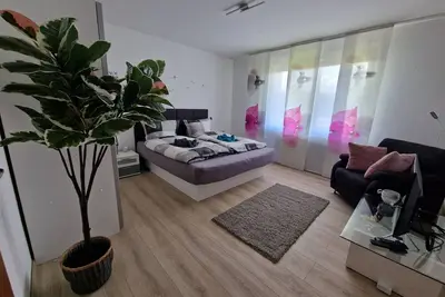 Comfortable holiday apartment Starennest with direct view of the Harz Mountains