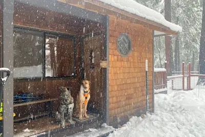 Image de 2 Dog Lodge · 2 Dog Lodge, 4-Season Dog Friendly Cabin + yard
