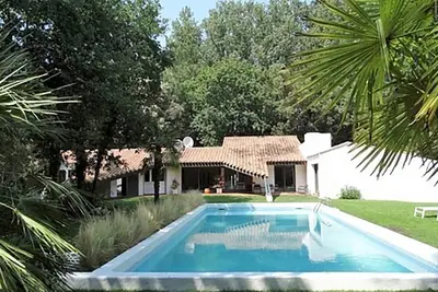 Image de Propriété d'architecte de caractère en forêt avec piscine