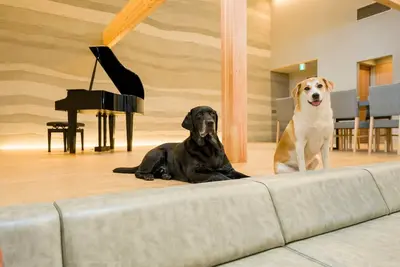 Image de Building A Pets allowed SuiteWith pool terrace and sauna / Kamogawa City Chiba