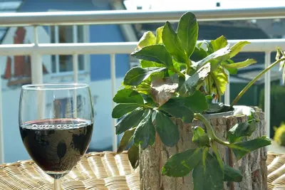 Image de Ferienwohnung/app. für 5 Gäste mit 71m² in Zingst