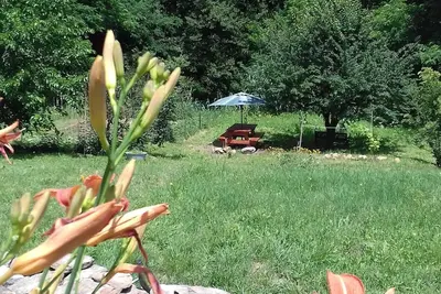 Image de Charmant gîte avec vue sur les Cévennes et le terrain de 3000m2