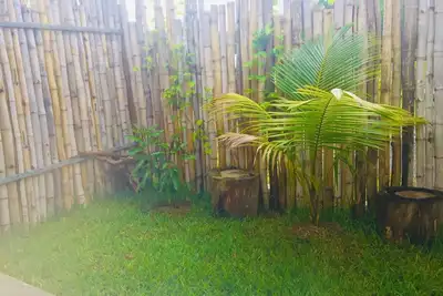 Image de Otium Studio 3 Le Morne