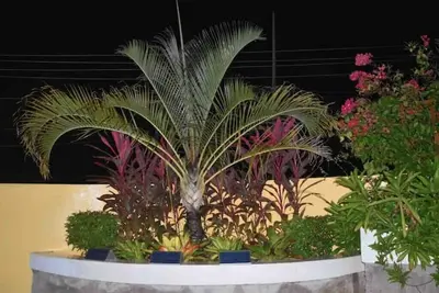 Image de Hotel boutique Calizo vip # 5