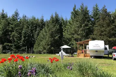 Image de Misty Haven Farm