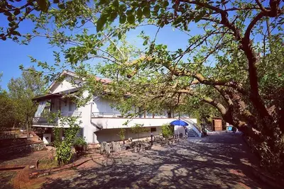 Image de Alma apartment