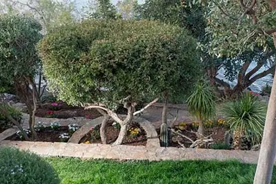 Image de Bh117 - R - Villa Ag Nikolaos
