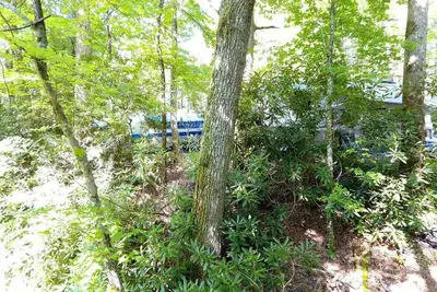 Image de Gatlinburg's First Airsteam Village
