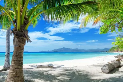 Image de Royale Suites by Arc Royale Luxury Apts