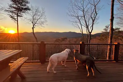 Image de Dogs! Fenced Yard-Hot Tub-Mountain View-Hikes out the door-Game Room-King Beds