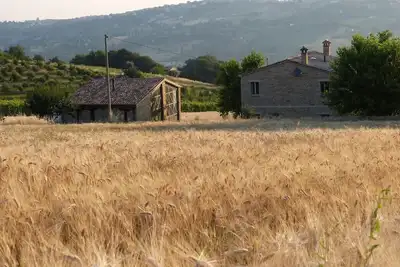 Image de Nature Lover's Retreat: Country House Amidst Vineyards & Olive Groves